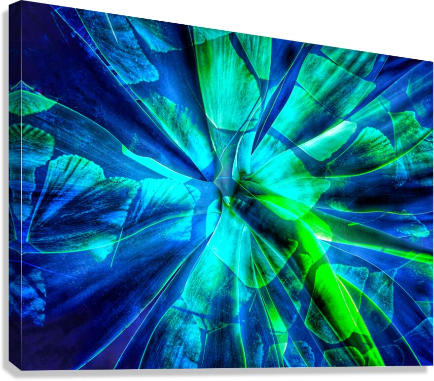 V1576 Canvas Print