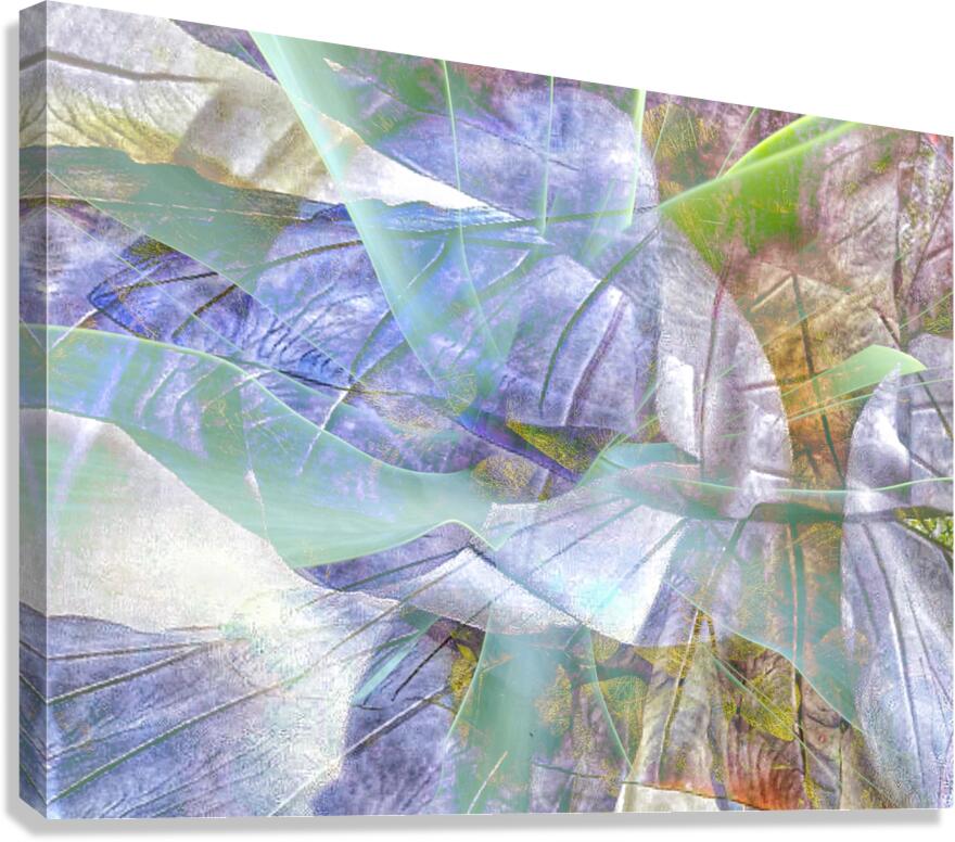 V1577 Canvas Print