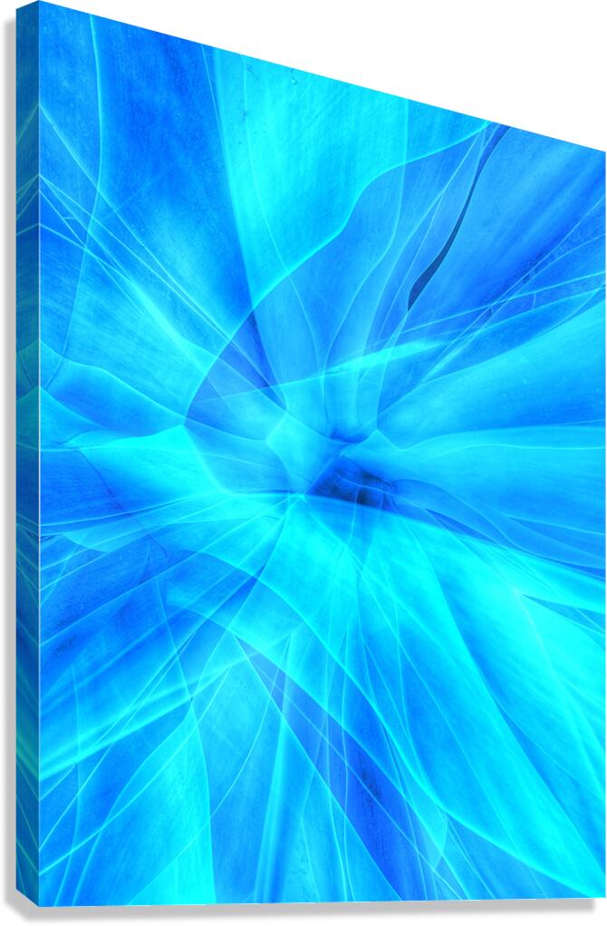 V1578 Canvas Print