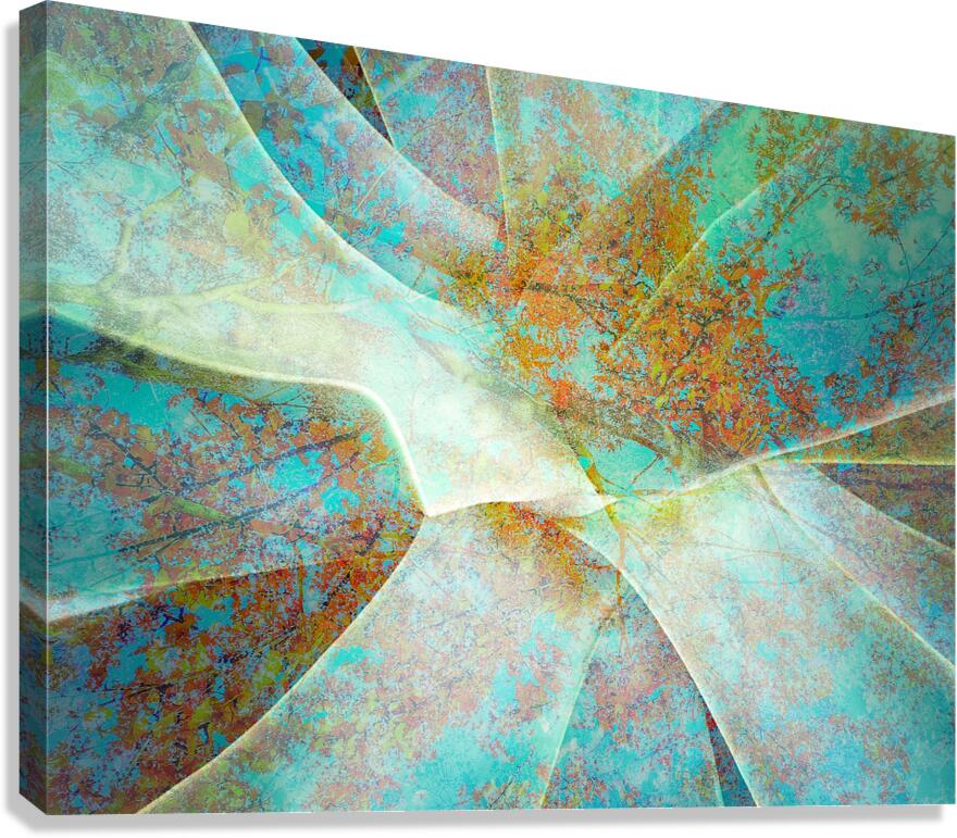 V1581 Canvas Print