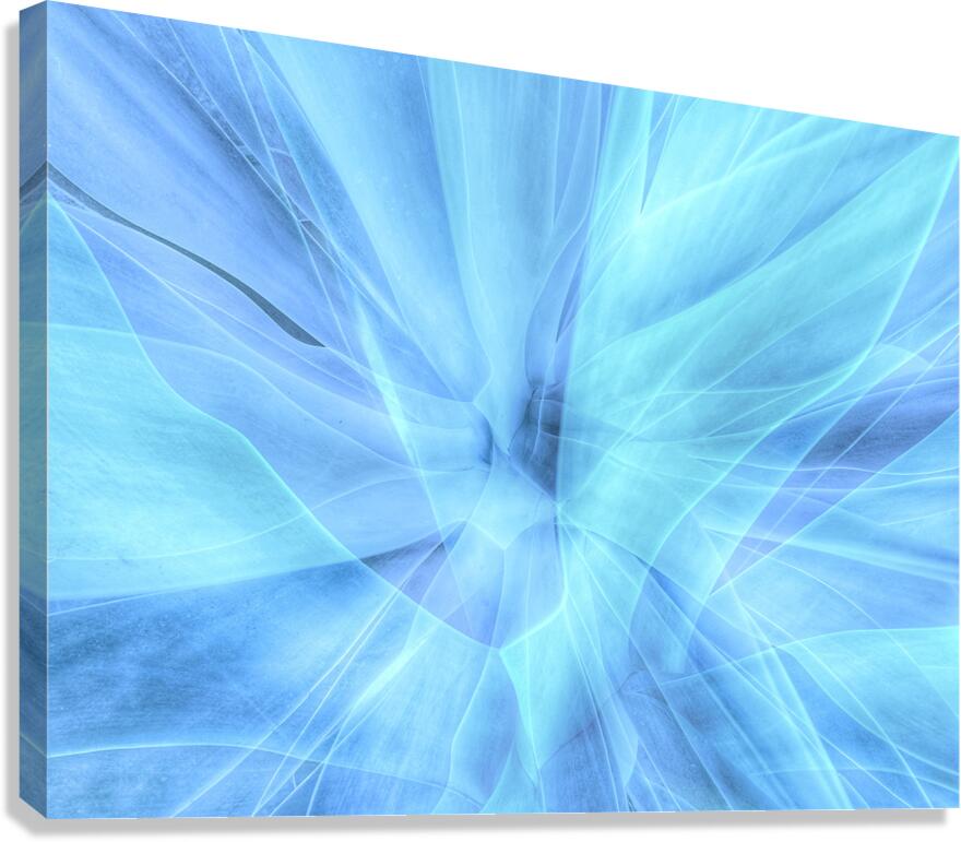 V1582 Canvas Print
