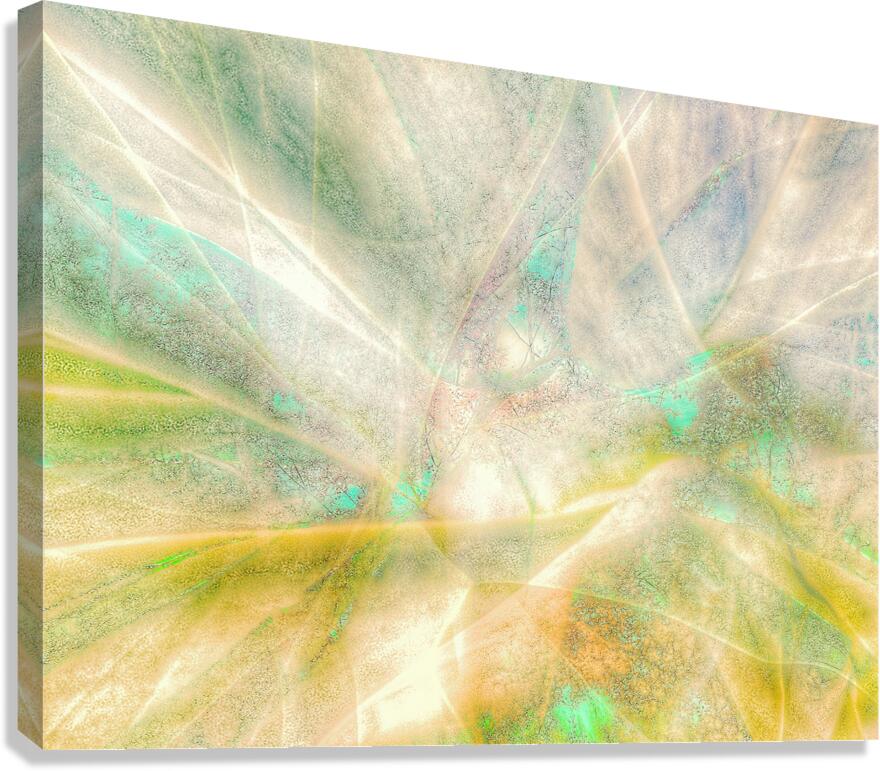 V1583 Canvas Print
