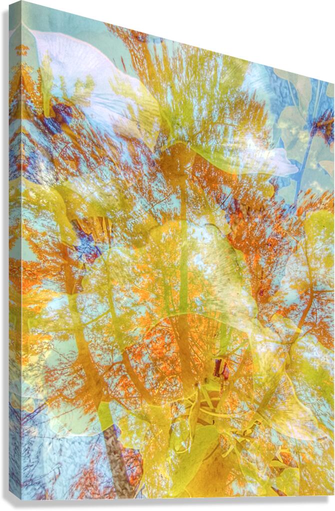 V1584 Canvas Print