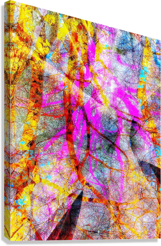 V1586 Canvas Print