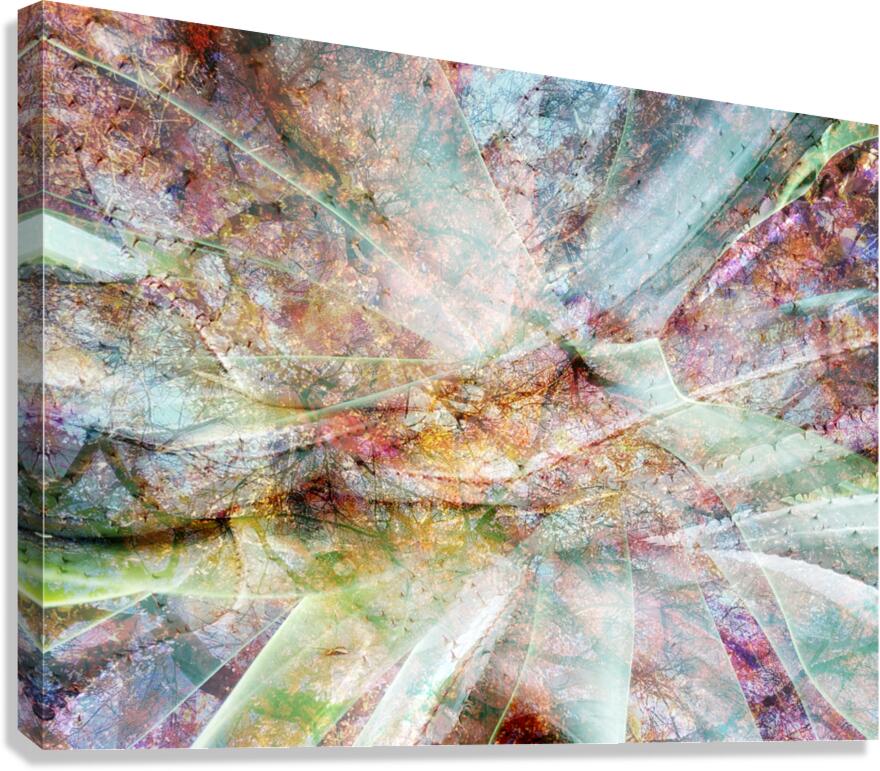 V1587 Canvas Print