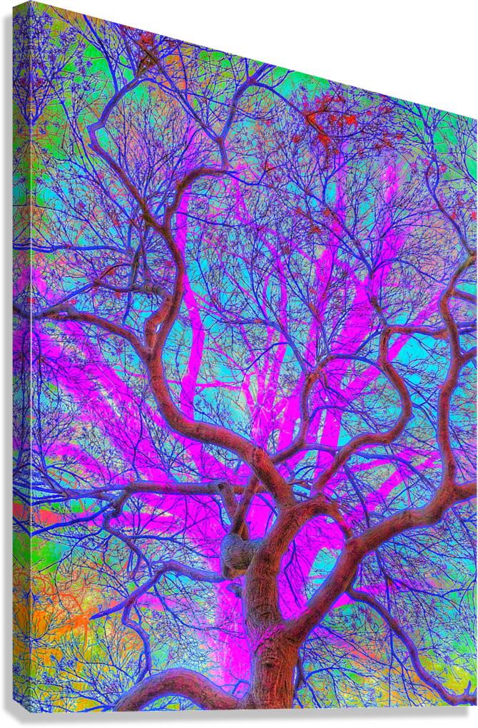 V1589 Canvas Print