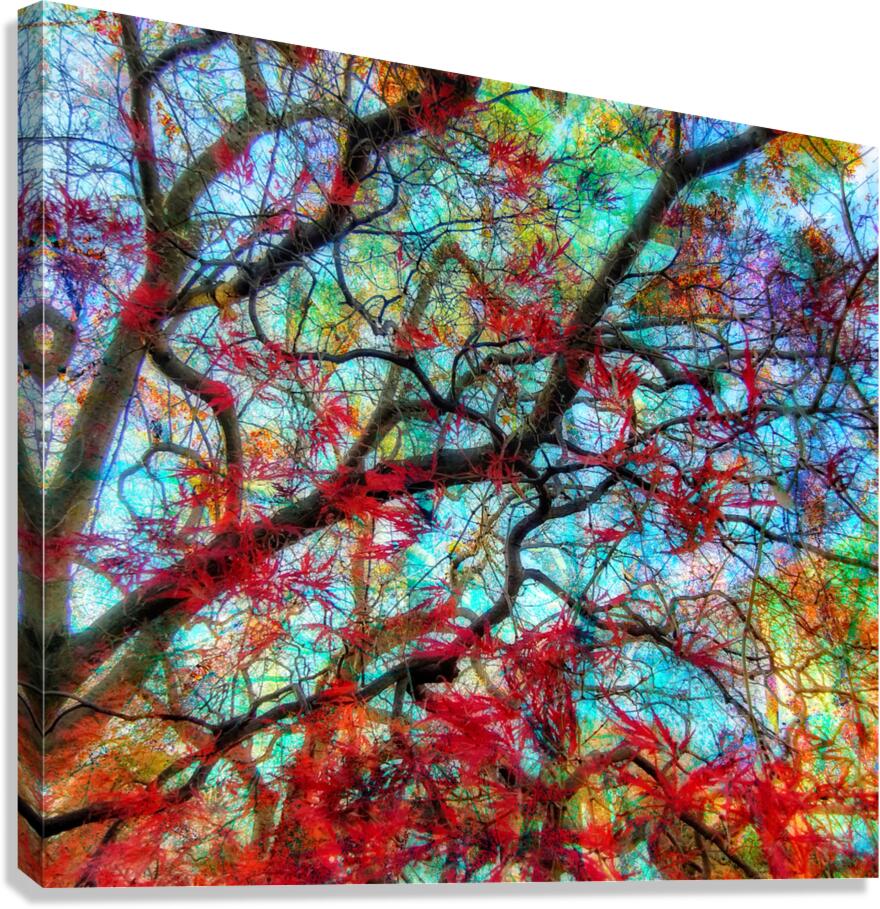 V1591 Canvas Print