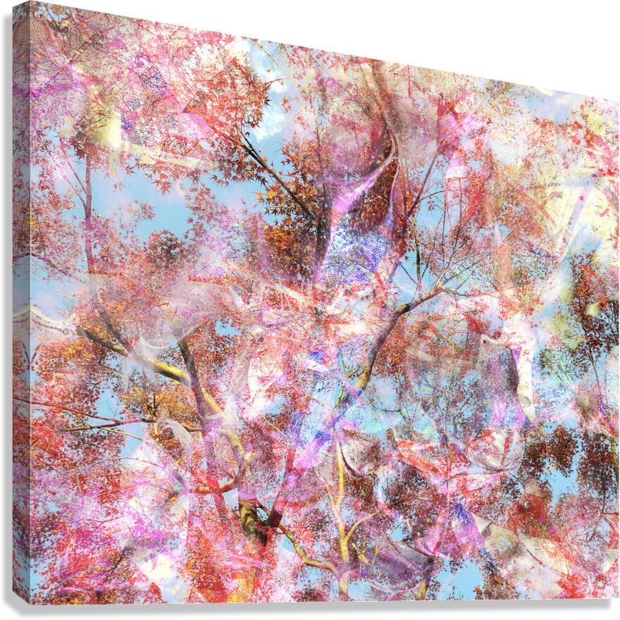 V1592 Canvas Print