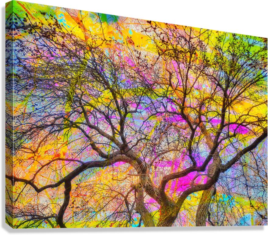 V1593 Canvas Print