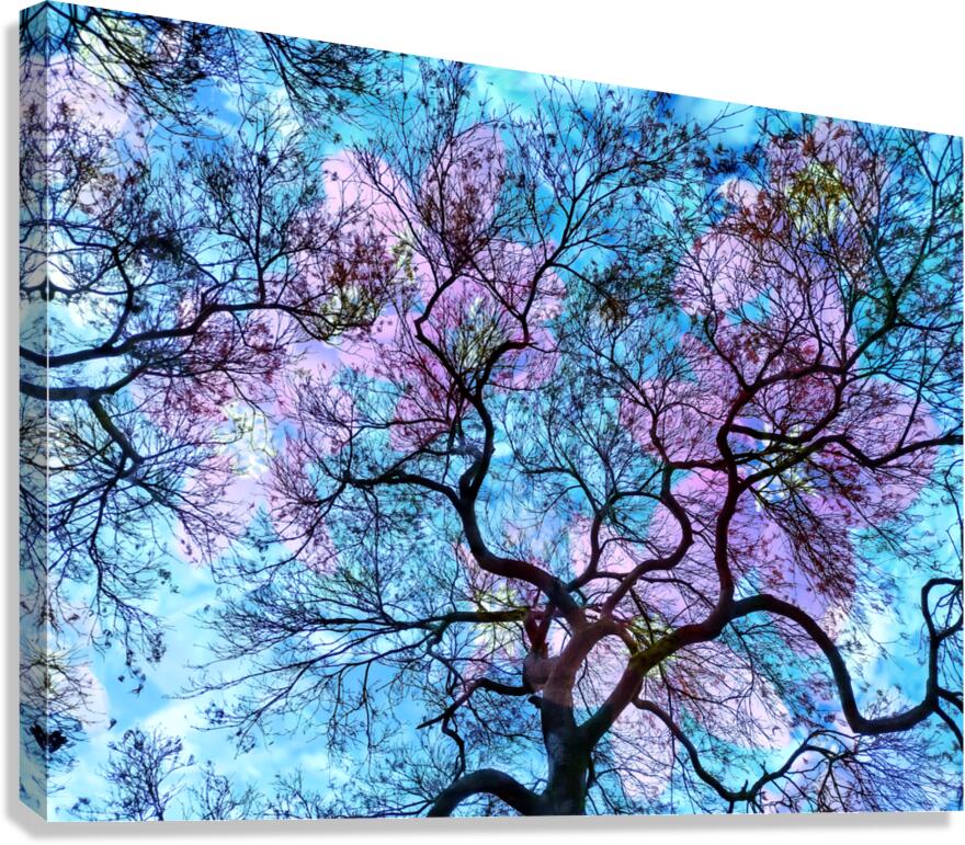 V1595 Canvas Print