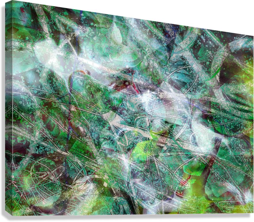V1598 Canvas Print