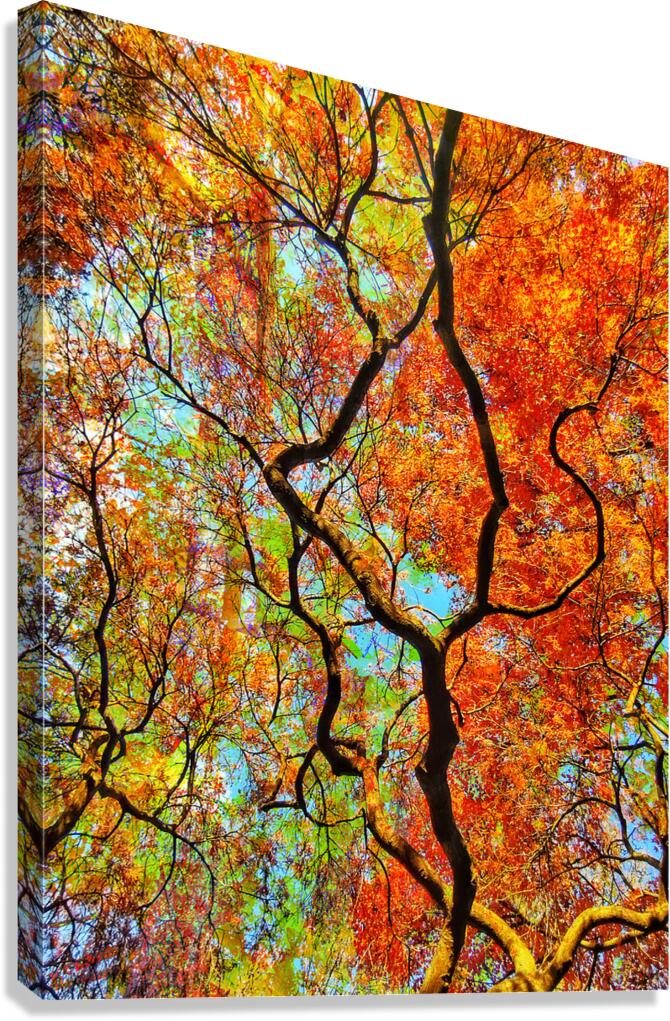 V1600 Canvas Print