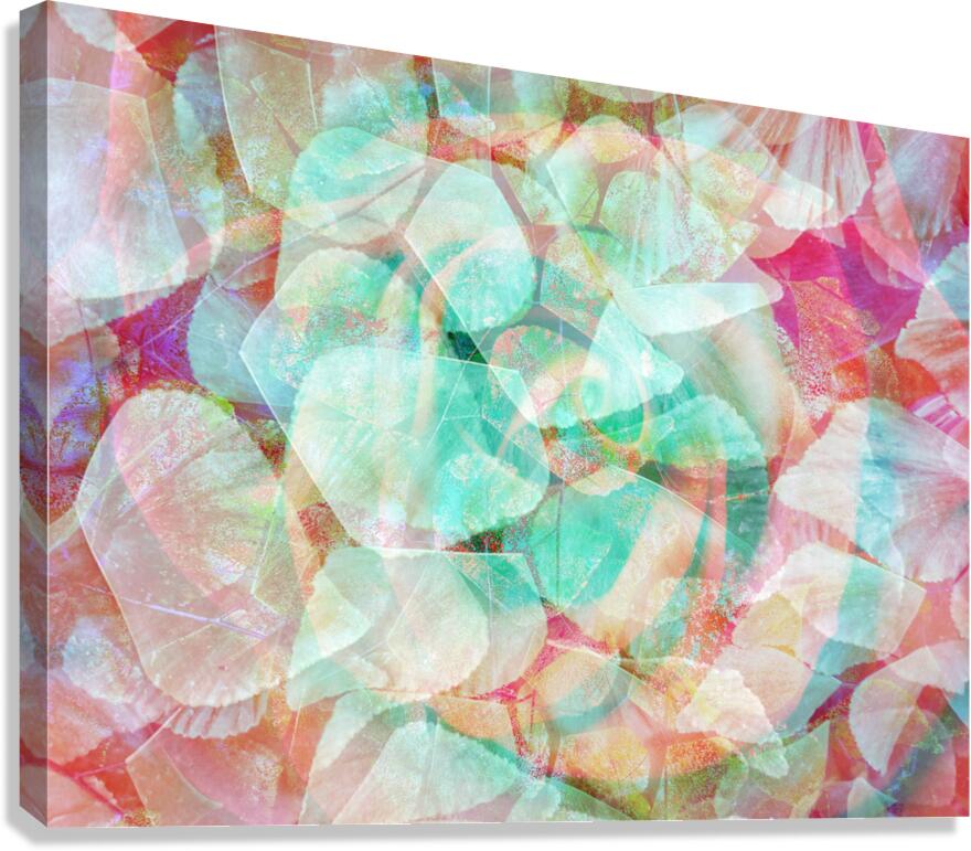 V1602 Canvas Print