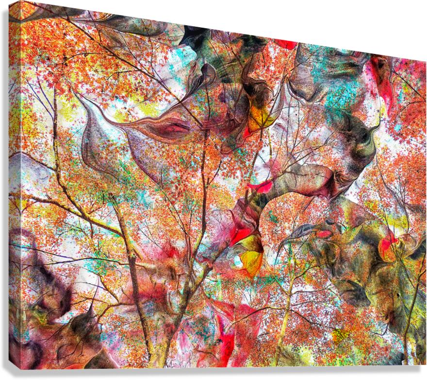 V1605 Canvas Print