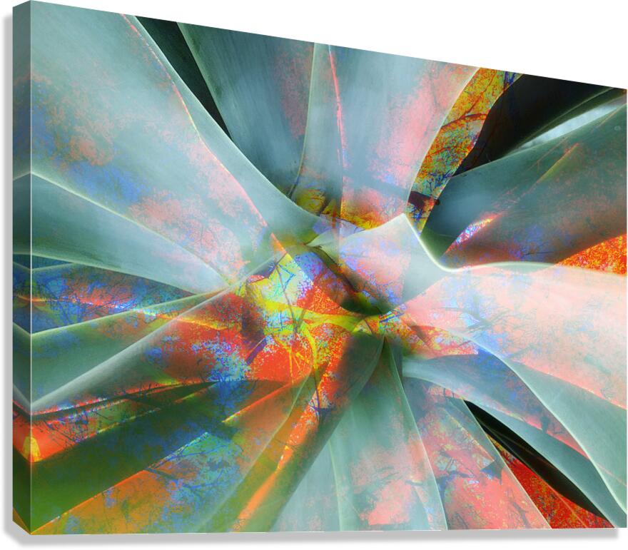 V1606 Canvas Print