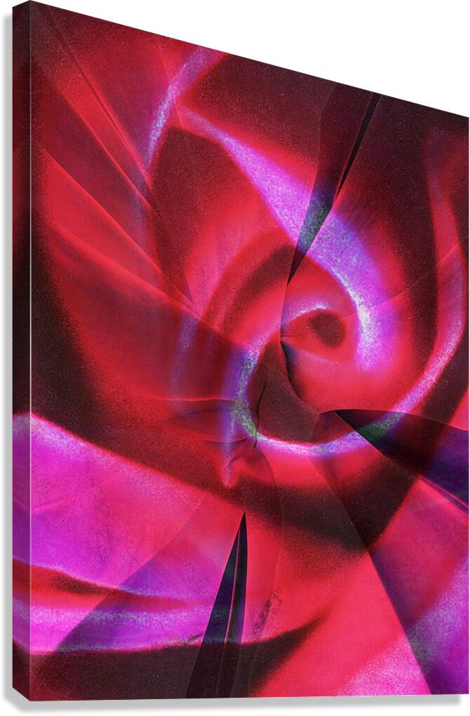 V1608 Canvas Print