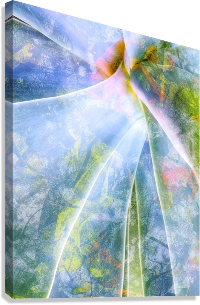 V1609 Canvas Print