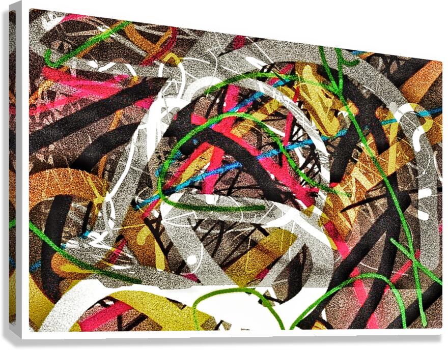 V1616 Canvas Print