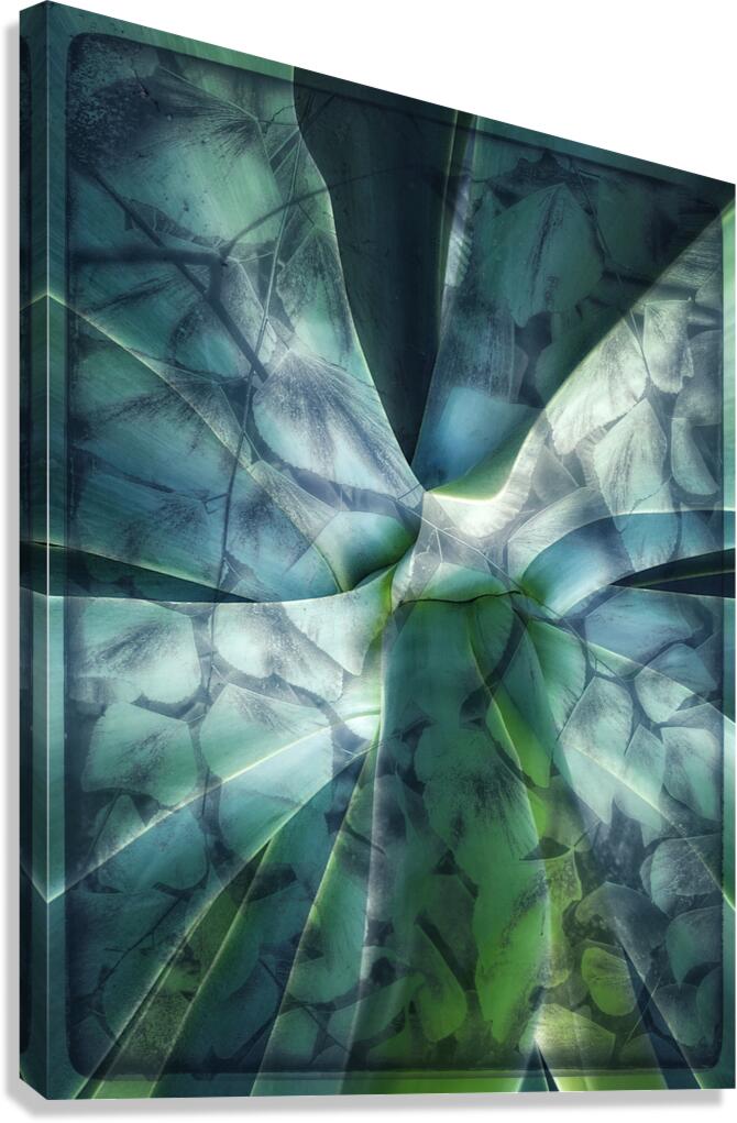 V1618 Canvas Print