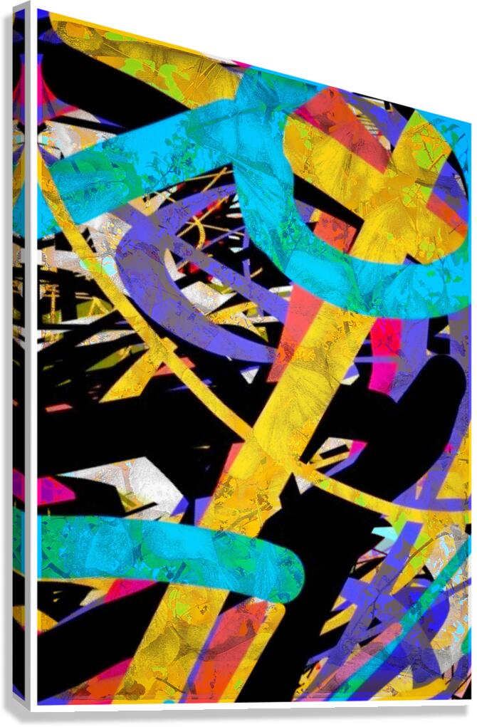 V1622 Canvas Print