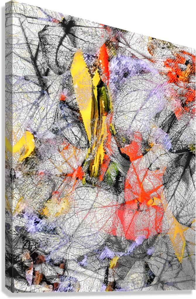 V1623 Canvas Print