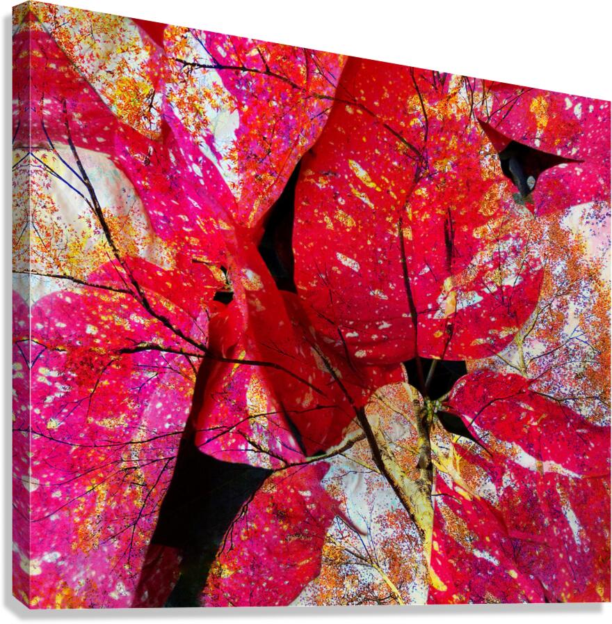 V1627 Canvas Print
