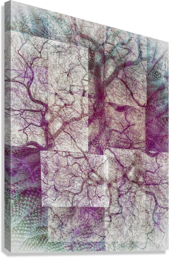 V1629 Canvas Print