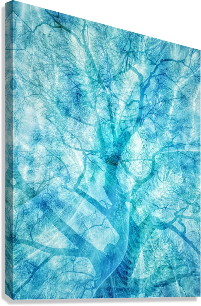 V1630 Canvas Print