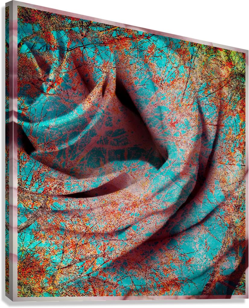 V1632 Canvas Print