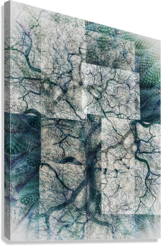 V1633 Canvas Print