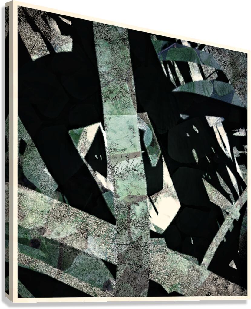 V1635 Canvas Print