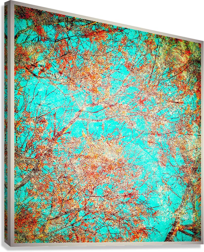 V1637 Canvas Print