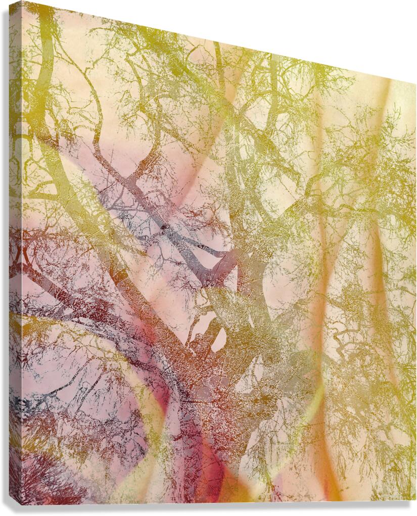 V1638 Canvas Print