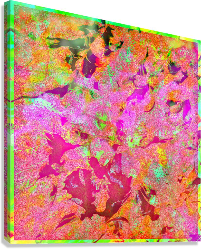 V1641 Canvas Print
