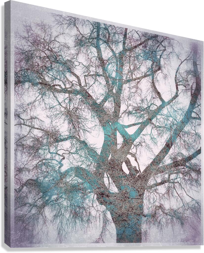 V1642 Canvas Print