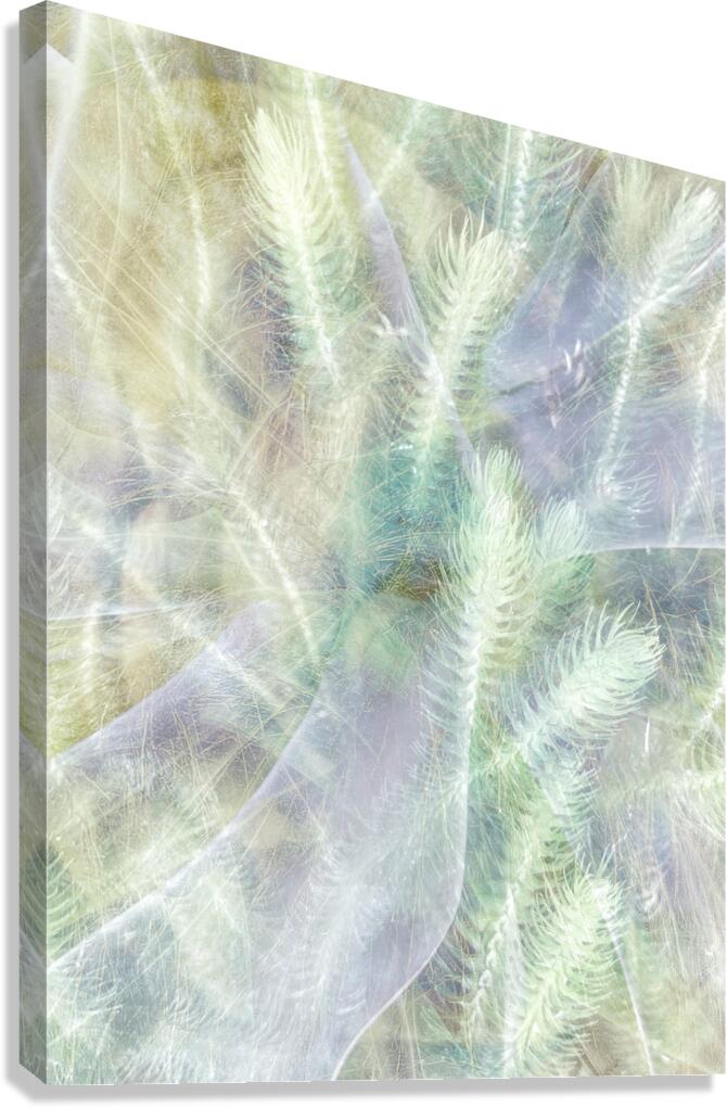 V1644 Canvas Print