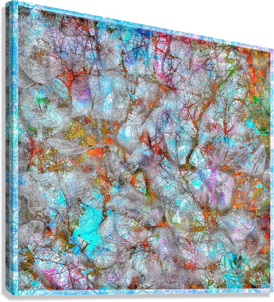V1648 Canvas Print