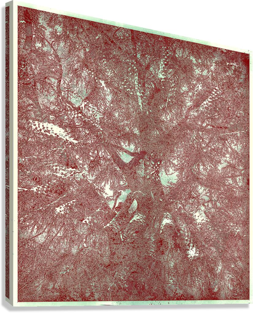 V1649 Canvas Print