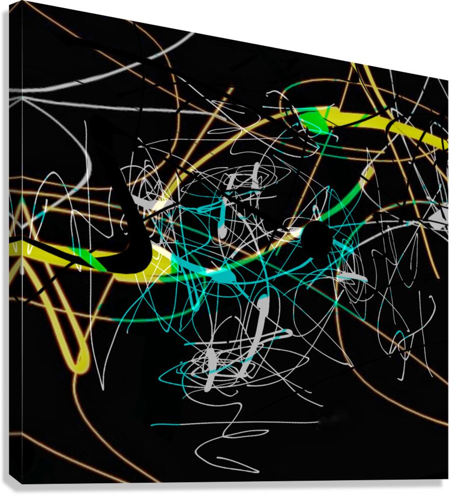 V1650 Canvas Print