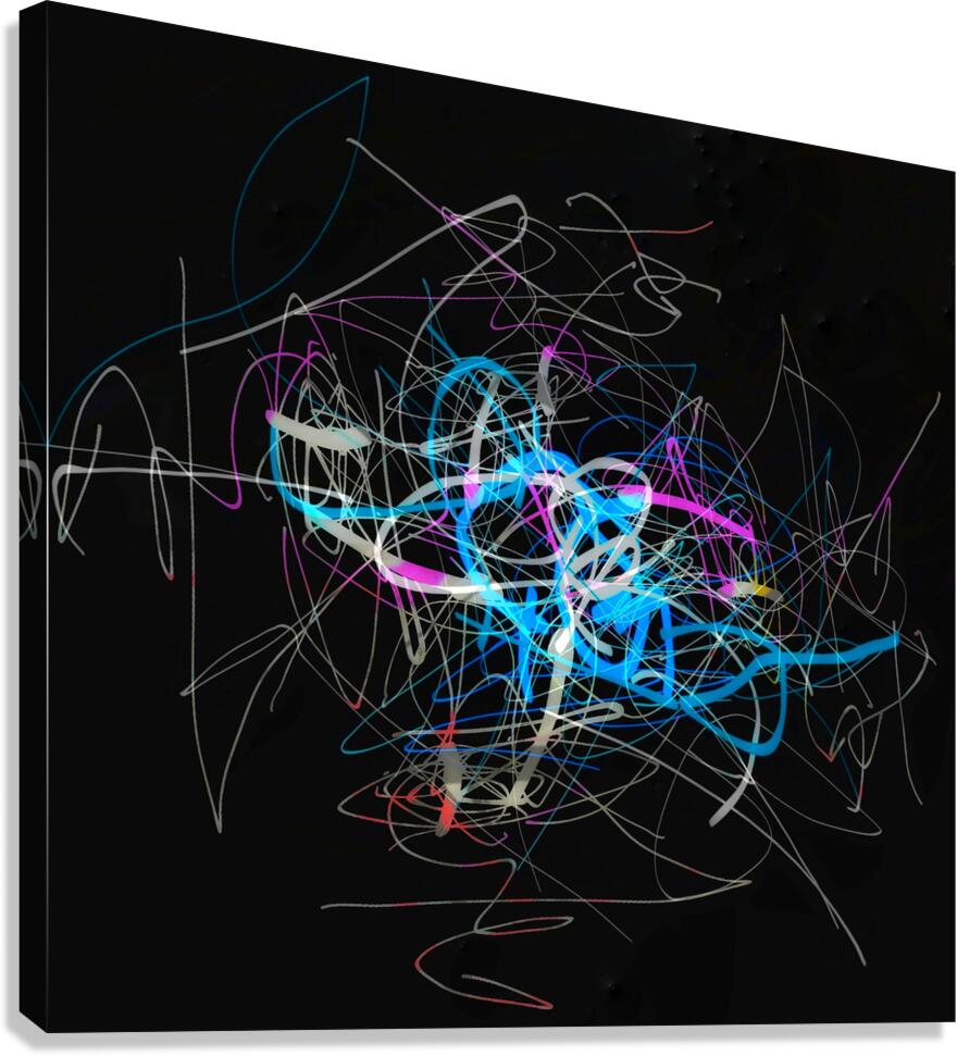 V1651 Canvas Print