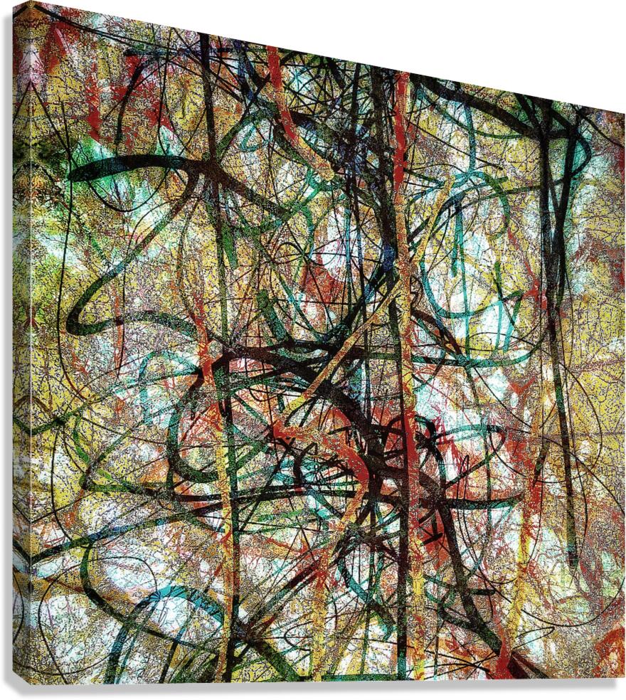 V1655 Canvas Print