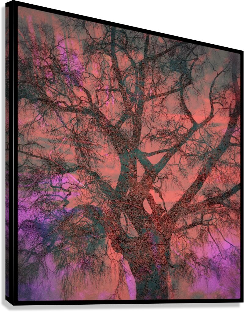 V1657 Canvas Print