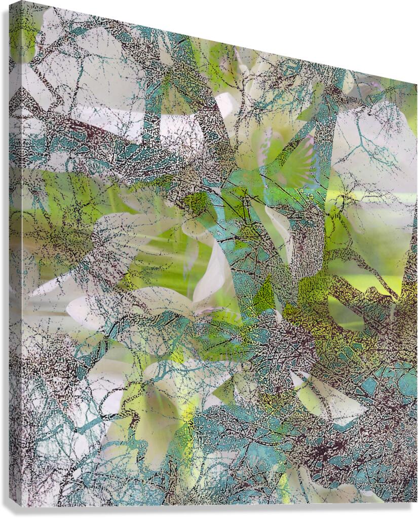 V1658 Canvas Print