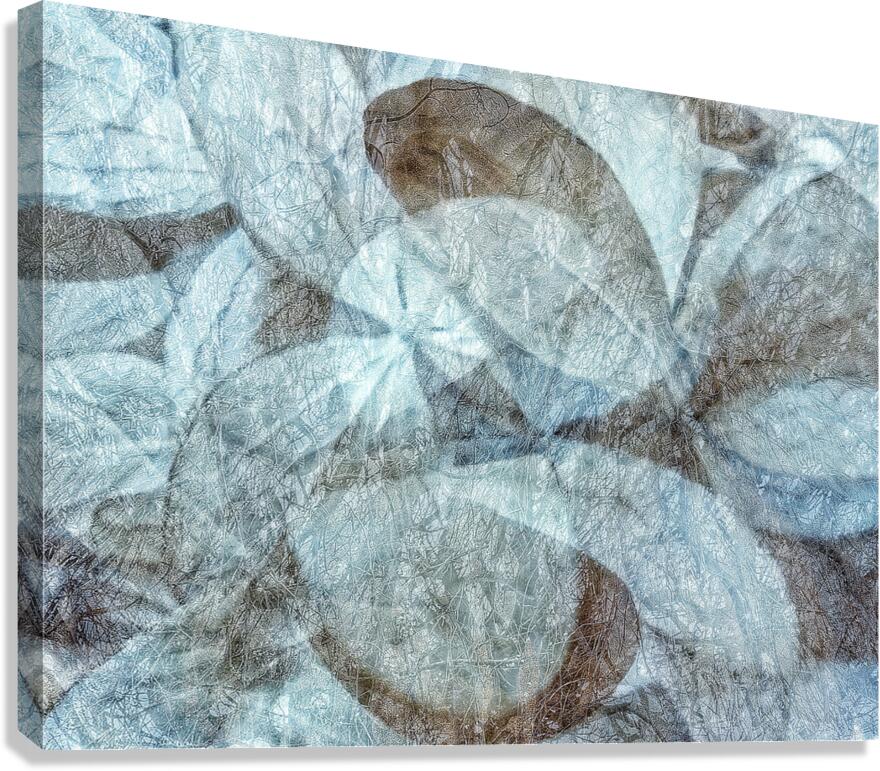 V1660 Canvas Print