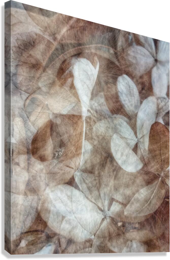 V1662 Canvas Print