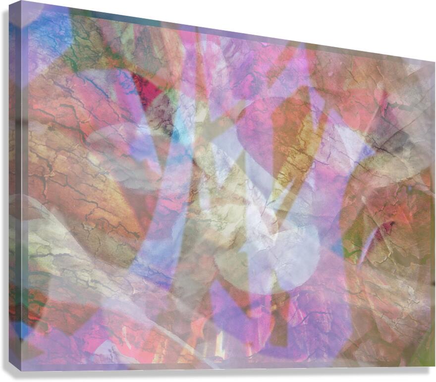 V1663 Canvas Print
