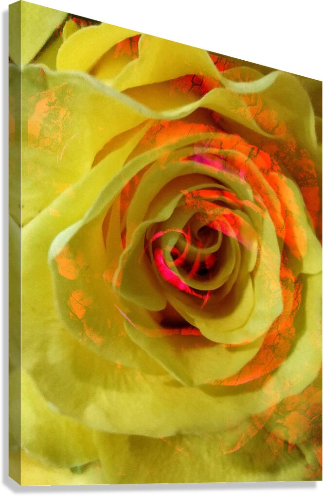 V1664 Canvas Print