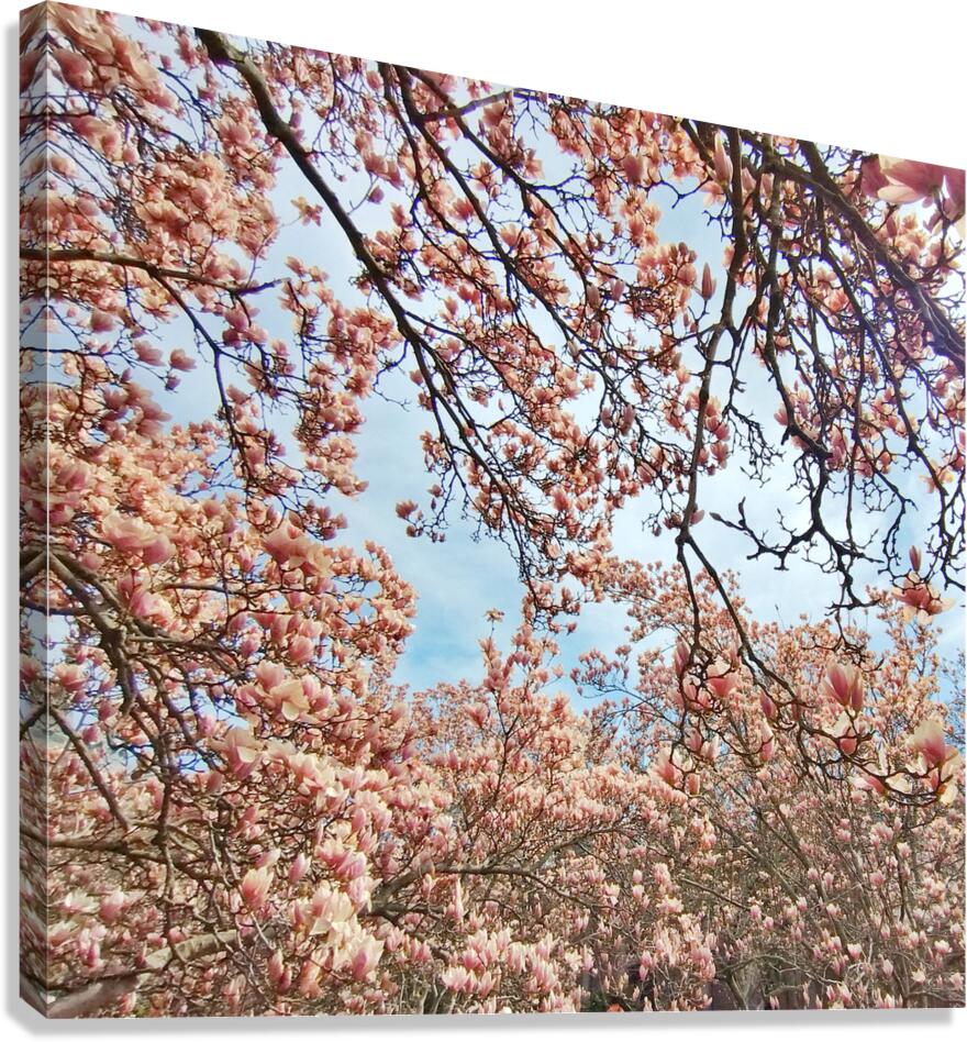 V1665 Canvas Print