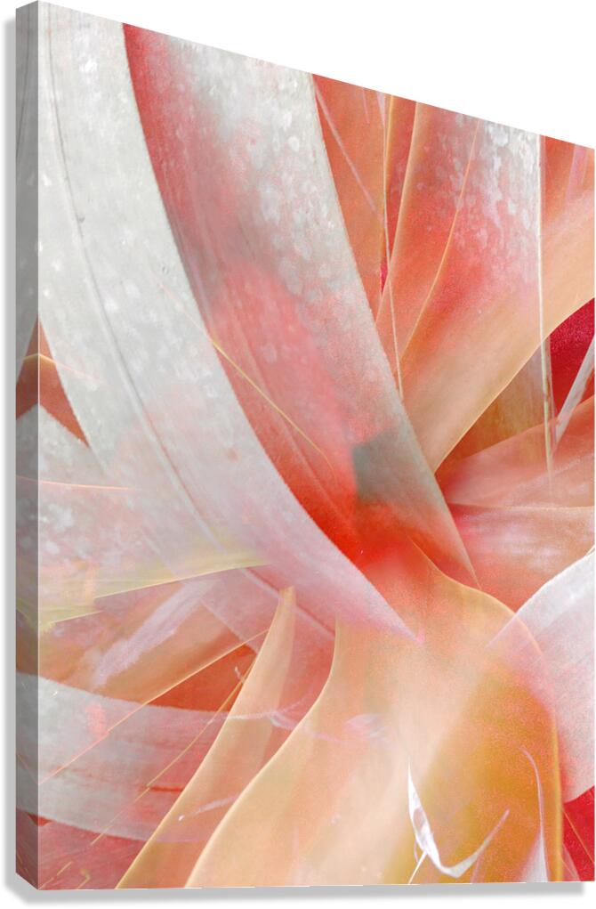 V1667 Canvas Print