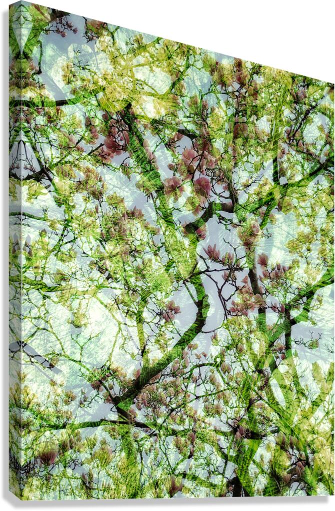 V1671 Canvas Print
